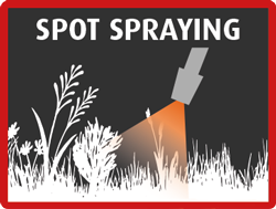 spotspray-icon